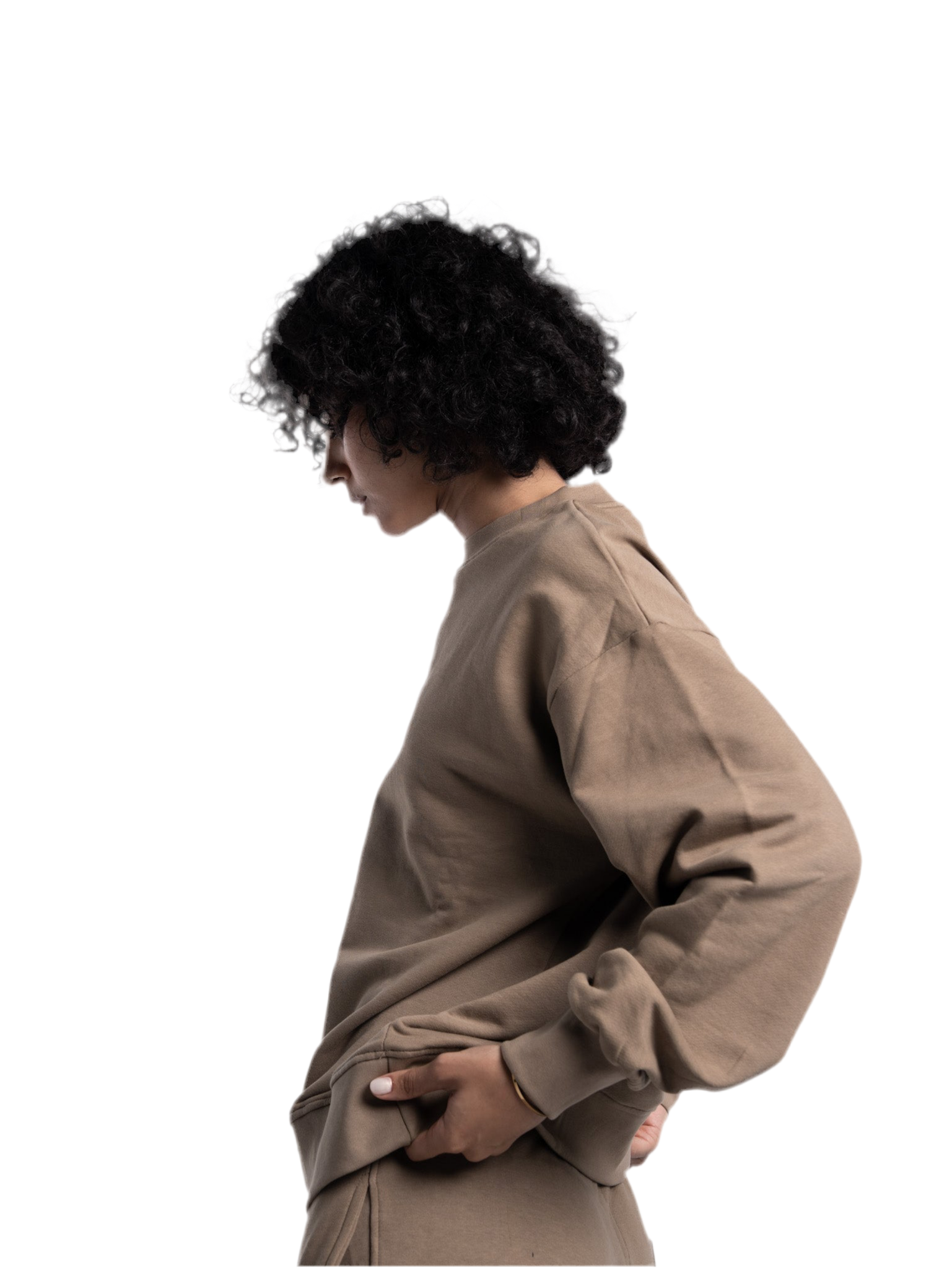 FRAMEWORK CREWNECK (cafe)