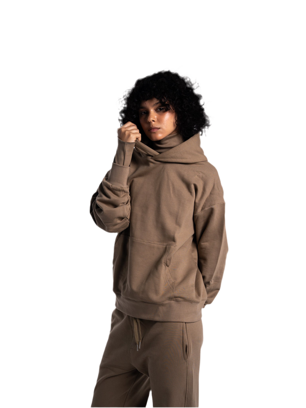 FRAMEWORK HOODIE (cafe)